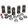 Set de arcuri racing cu suport din titan KIBBLEWHITE 80-80066