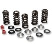 Set de arcuri racing cu suport din titan KIBBLEWHITE 80-80066 Set de arcuri racing cu suport din titan KIBBLEWHITE 80-80066 thumb