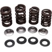 Set de arcuri racing cu suport din titan KIBBLEWHITE 30-30640 Set de arcuri racing cu suport din titan KIBBLEWHITE 30-30640 thumb