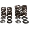 Set de arcuri racing cu limitator din titan KIBBLEWHITE 30-30720