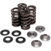 Set de arcuri racing cu limitator de titan KIBBLEWHITE 40-40100