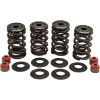 Set arcuri racing steel retainer KIBBLEWHITE 20-20364