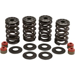 Set arcuri racing steel retainer KIBBLEWHITE 20-20364 Set arcuri racing steel retainer KIBBLEWHITE 20-20364