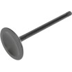 Supapă BLACK DIAMOND admisie KIBBLEWHITE 20-20322 Supapă BLACK DIAMOND admisie KIBBLEWHITE 20-20322 thumb