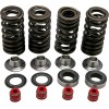 Set de arcuri racing cu limitator de titan KIBBLEWHITE 30-30590
