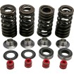 Set de arcuri racing cu limitator de titan KIBBLEWHITE 30-30590 thumb