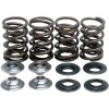 Set de arcuri racing cu opritor din titan KIBBLEWHITE 60-60045