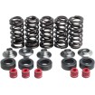 Set de arcuri racing cu limitator din titan KIBBLEWHITE 80-80100 Set de arcuri racing cu limitator din titan KIBBLEWHITE 80-80100 thumb