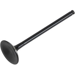 Supapă BLACK DIAMOND pentru sistemul de evacuare KIBBLEWHITE 30-31166 Supapă BLACK DIAMOND pentru sistemul de evacuare KIBBLEWHITE 30-31166