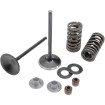 Kit pentru supapă de admisie și arc cu suport din titan KIBBLEWHITE 30-31200 Kit pentru supapă de admisie și arc cu suport din titan KIBBLEWHITE 30-31200 thumb