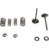 Kit pentru supapă de admisie și arc cu fixator din titan KIBBLEWHITE 30-31210