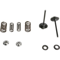 Kit pentru supapă de admisie și arc cu fixator din titan KIBBLEWHITE 30-31210 Kit pentru supapă de admisie și arc cu fixator din titan KIBBLEWHITE 30-31210