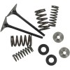 Kit pentru supapă de admisie și arc cu fixator din titan KIBBLEWHITE 40-40350