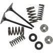 Kit pentru supapă de admisie și arc cu fixator din titan KIBBLEWHITE 40-40350 Kit pentru supapă de admisie și arc cu fixator din titan KIBBLEWHITE 40-40350 thumb