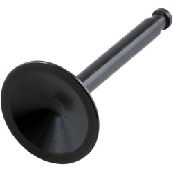 Supapă BLACK DIAMOND pentru sistemul de evacuare KIBBLEWHITE 20-4197-1 Supapă BLACK DIAMOND pentru sistemul de evacuare KIBBLEWHITE 20-4197-1