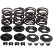 Set arcuri racing steel retainer KIBBLEWHITE 20-2210 Set arcuri racing steel retainer KIBBLEWHITE 20-2210 thumb