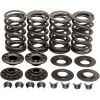 Set de arcuri racing cu suport din oțel KIBBLEWHITE 20-20132