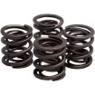 Set de înlocuire doar pentru arcuri OEM KIBBLEWHITE 20-2215 thumb