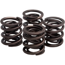 Set de înlocuire doar pentru arcuri OEM KIBBLEWHITE 20-2215 Set de înlocuire doar pentru arcuri OEM KIBBLEWHITE 20-2215