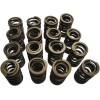 Set doar cu arcuri pentru performanță înaltă KIBBLEWHITE 60-60560