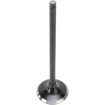Supapă BLACK DIAMOND pentru sistemul de evacuare KIBBLEWHITE 30-31466 Supapă BLACK DIAMOND pentru sistemul de evacuare KIBBLEWHITE 30-31466 thumb
