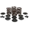 Set de arcuri oem replacement steel retainer KIBBLEWHITE 20-20425