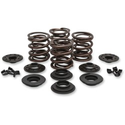 Set de arcuri oem replacement steel retainer KIBBLEWHITE 20-20425 Set de arcuri oem replacement steel retainer KIBBLEWHITE 20-20425