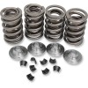 Set de arcuri oem replacement steel retainer KIBBLEWHITE 20-20430