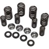Set de arcuri racing cu limitator de titan KIBBLEWHITE 60-60500