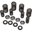 Set de arcuri racing cu limitator de titan KIBBLEWHITE 60-60500 Set de arcuri racing cu limitator de titan KIBBLEWHITE 60-60500 thumb