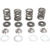 Set arcuri racing cu limitator din titan KIBBLEWHITE 96-96000
