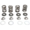 Set arcuri racing cu limitator din titan KIBBLEWHITE 96-96000 Set arcuri racing cu limitator din titan KIBBLEWHITE 96-96000 thumb