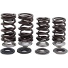 Set arcuri racing cu limitator din titan KIBBLEWHITE 30-31600