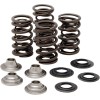 Set de arcuri racing cu limitator de titan KIBBLEWHITE 40-40660