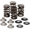 Set de arcuri racing cu limitator de titan KIBBLEWHITE 40-40660 Set de arcuri racing cu limitator de titan KIBBLEWHITE 40-40660 thumb