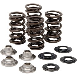 Set de arcuri racing cu limitator de titan KIBBLEWHITE 40-40660 Set de arcuri racing cu limitator de titan KIBBLEWHITE 40-40660