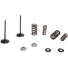 Kit pentru supapă de admisie și arc cu suport din titan KIBBLEWHITE 60-60470