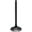 Supapă BLACK DIAMOND admisie KIBBLEWHITE 20-20776 Supapă BLACK DIAMOND admisie KIBBLEWHITE 20-20776 thumb
