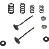Kit pentru supapă de admisie și arc cu fixator din titan KIBBLEWHITE 96-96450