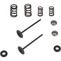 Kit pentru supapă de admisie și arc cu fixator din titan KIBBLEWHITE 96-96450 Kit pentru supapă de admisie și arc cu fixator din titan KIBBLEWHITE 96-96450