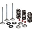 Kit pentru supapă de admisie și arc cu suport din titan KIBBLEWHITE 80-80950 Kit pentru supapă de admisie și arc cu suport din titan KIBBLEWHITE 80-80950 thumb