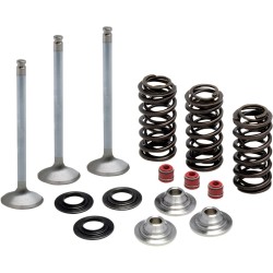 Kit pentru supapă de admisie și arc cu suport din titan KIBBLEWHITE 80-80950 Kit pentru supapă de admisie și arc cu suport din titan KIBBLEWHITE 80-80950