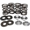 Set de arcuri cu suporturi ușoare din oțel KIBBLEWHITE 90-9034