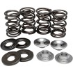 Set de arcuri cu suporturi ușoare din oțel KIBBLEWHITE 90-9034 Set de arcuri cu suporturi ușoare din oțel KIBBLEWHITE 90-9034 thumb