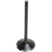 Supapă BLACK DIAMOND admisie KIBBLEWHITE 20-20260 Supapă BLACK DIAMOND admisie KIBBLEWHITE 20-20260 thumb