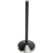 Supapă BLACK DIAMOND admisie KIBBLEWHITE 20-20550 Supapă BLACK DIAMOND admisie KIBBLEWHITE 20-20550 thumb