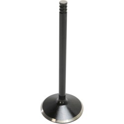 Supapă BLACK DIAMOND admisie KIBBLEWHITE 20-20550 Supapă BLACK DIAMOND admisie KIBBLEWHITE 20-20550
