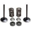 Kit pentru supapă de admisie și arc cu fixator din titan KIBBLEWHITE 80-81100