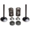 Kit pentru supapă de admisie și arc cu fixator din titan KIBBLEWHITE 80-81100 Kit pentru supapă de admisie și arc cu fixator din titan KIBBLEWHITE 80-81100 thumb