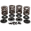 Set arcuri oem replacement steel retainer KIBBLEWHITE 20-20850